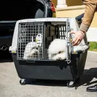 Inner divider panel for transport cage Gulliver Touring black Photo 2
