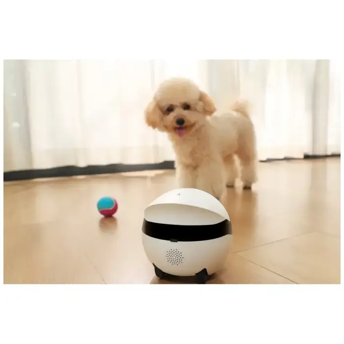 Intelligent companion robot ENABOT   ROLAMINI Foto 6