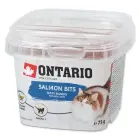 Gardums kaķiem – Ontario Salmon bits, 75 g Foto 1