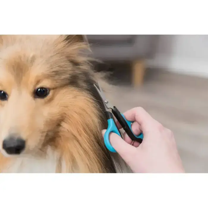 Šķēres cirpšanai - Trixie Face and Paw Scissors 8 cm Foto 3