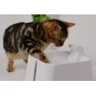 Автоматический питьевой фонтан для животных - Placek Cat Epic Pet Zen water drinking fountain 2.4l|20cm Фото 2
