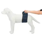Autiņbiksītes suņiem : Trixie Diapers for male dogs, mesh material, S–M: 37–45 cm, dark blue Foto 2