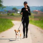Pas biodrowy z saszetką i elastyczną smyczą do biegania z psem Wozinsky WPST-01 - czarny Фото 9