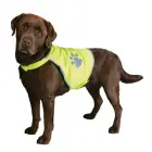 Atstarojošā veste -Trixie Safety vest for dogs, XL. 47 cm, 72-95 cm Foto 2