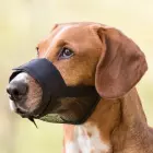 Uzpurnis suņiem - Trixie Muzzle, Nylon. Size M, Snoup strap 19-26 cm, 4.6cm Photo 1