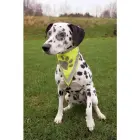 Atstarojošs lakats - Trixie Safer Life neckerchief, L–XL: 43–60 cm Foto 1