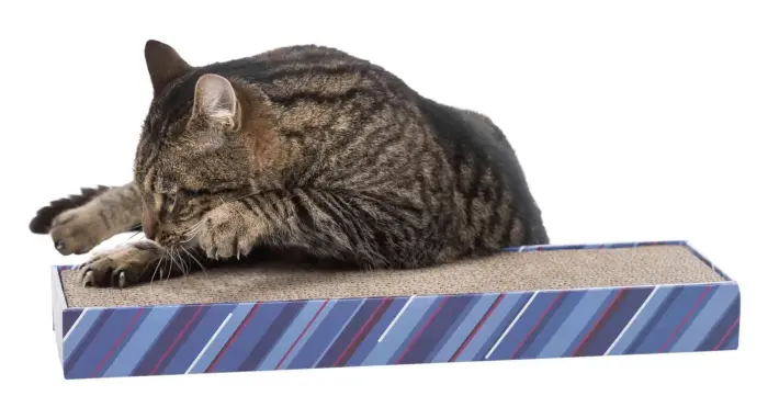 Nagu asināmais : Trixie Scratchy scratching cardboard, 48 × 5 × 13 cm, multi coloured Foto 4