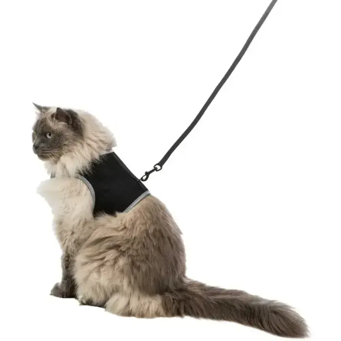 Krūšu siksna veste ar pavadu kaķiem - Trixie Soft harness with leash for cats, XL, 36–54 cm, 1.20 m Foto 2