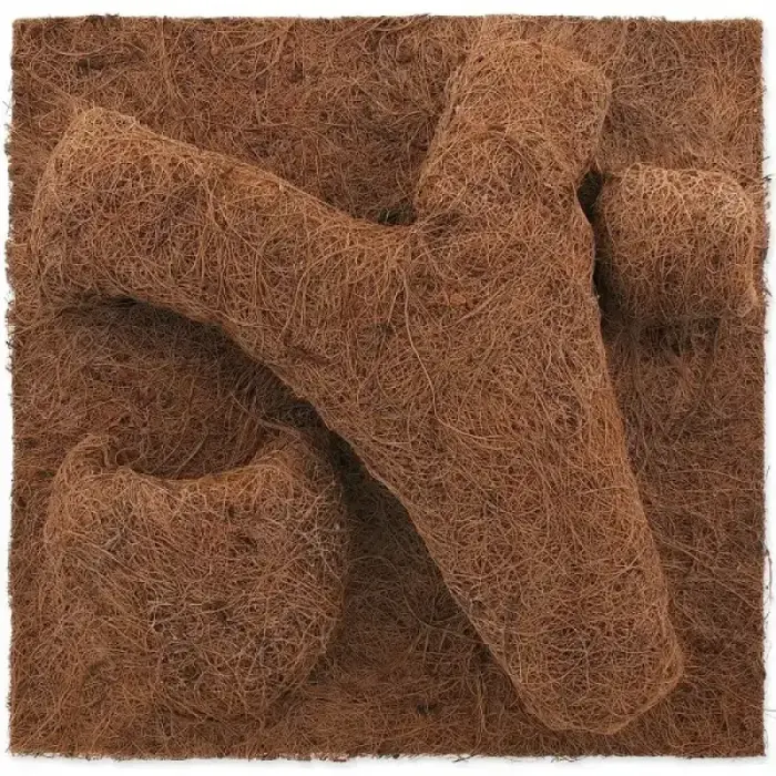 Fons terārijam : Repti Planet Coco Planter 30x30cm Foto 2