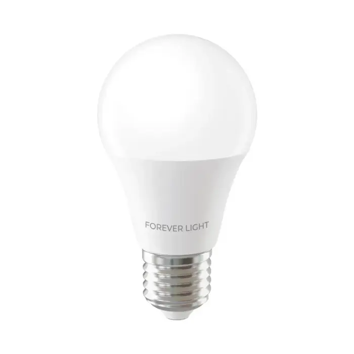 Forever Light LED Bulb E27 A55 4W 480lm 3000K class E Foto 2