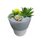 Setty humidifier NP-18 grey Foto 2